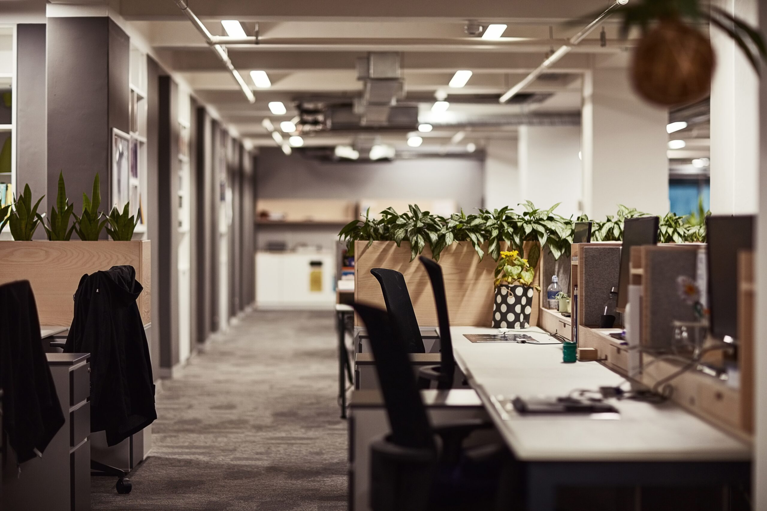 Vos bureaux sont 𝑣𝑖𝑑𝑒𝑠 ? Voici pourquoi… et surtout comment y remédier